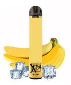 Xtra Disposable 1500 Puffs