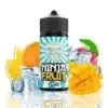 Orenji Ice - Ninja Fruit