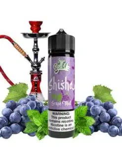 Grape Mint Shisha - Roll Upz