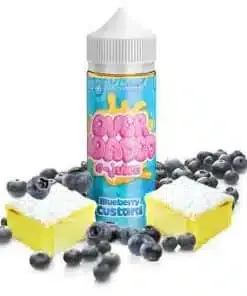 Blueberry Custard By Over Loaded