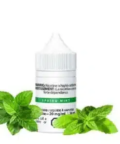 Spring Mint Salt - Salt Nix